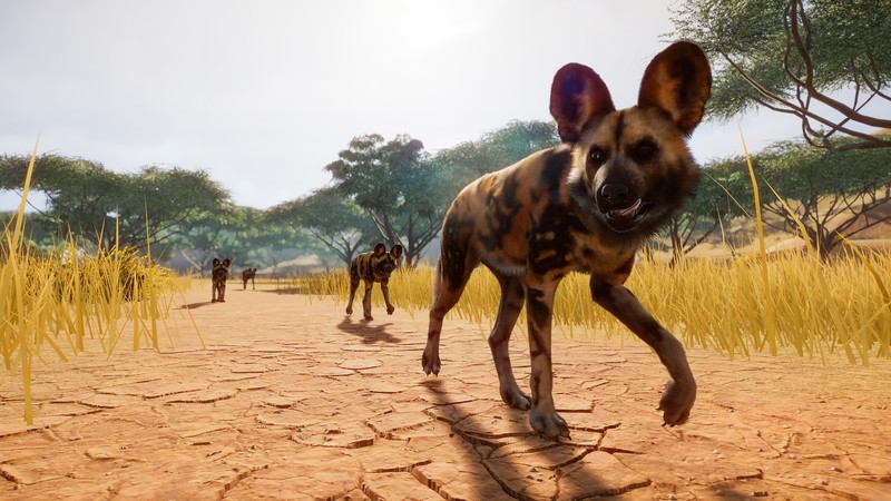 Planet Zoo, E3 2019, screenshot, 4K