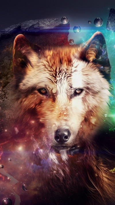 Animal Wolf, 750x1334