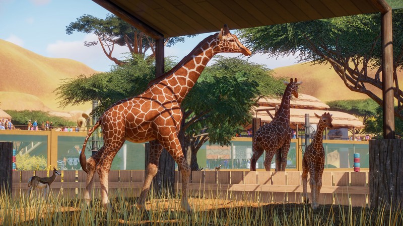 Planet Zoo, E3 2019, screenshot, 4K