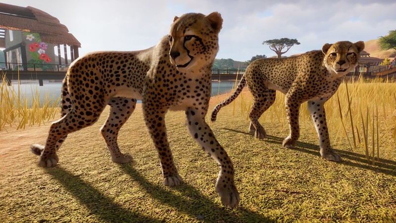 Planet Zoo, E3 2019, screenshot, 4K