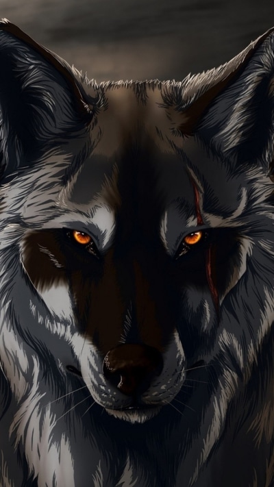 Animal Wolf, 750x1334