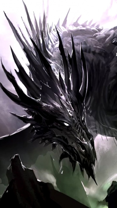 Fantasy Dragon, 750x1334