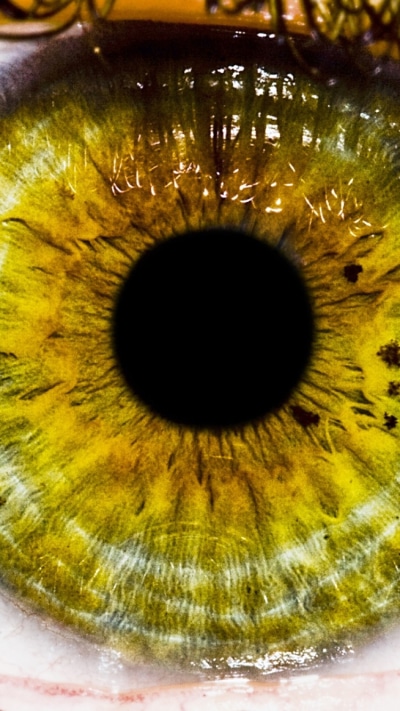 Artistic Eye, 750x1334