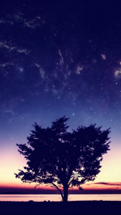 Fantasy Sunset, 750x1334