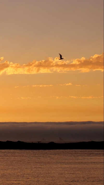 Earth Sunset, 750x1334