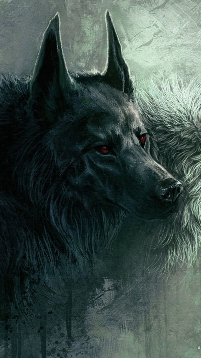 Animal Wolf, 750x1334