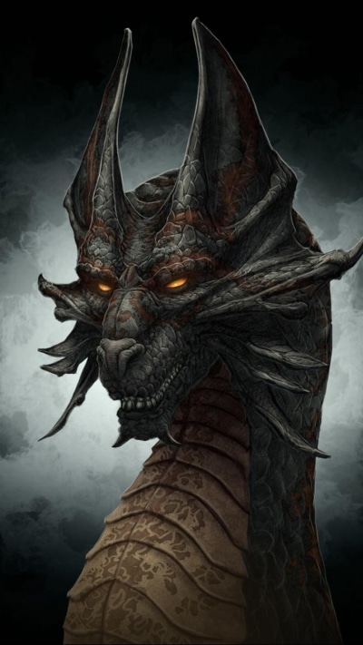 Fantasy Dragon, 750x1334