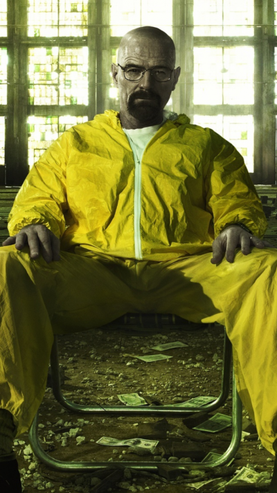 TV Show Breaking Bad, Walter White, Bryan Cranston, Money, 750x1334
