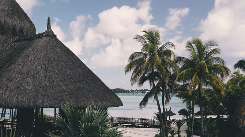 palm tree, pool, vacation, 4k