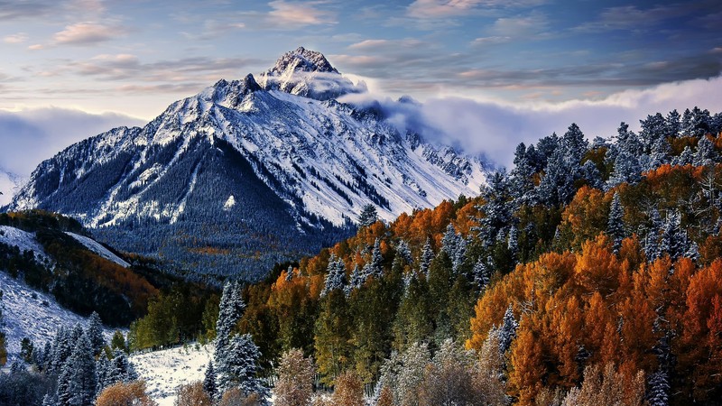 Sneffels, mountain, trees, winter, forest, 4k