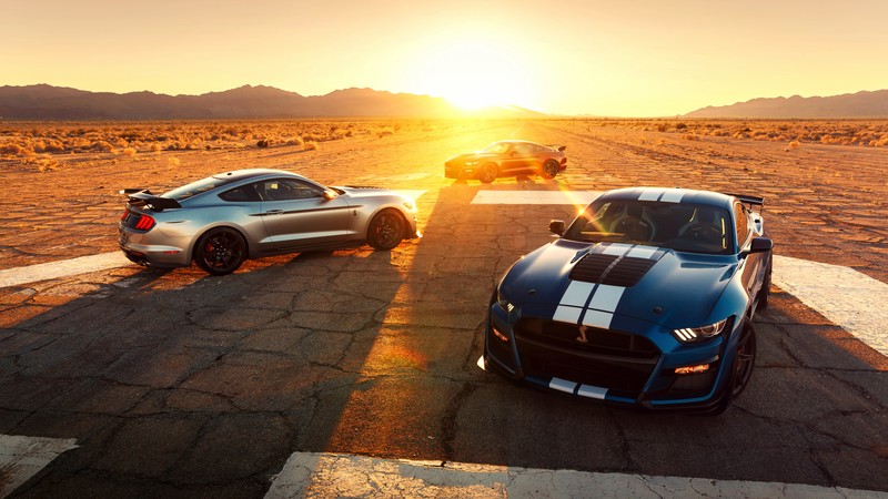 Ford Mustang Shelby GT500, 2020 Cars, 2019 Detroit Auto Show, 4K
