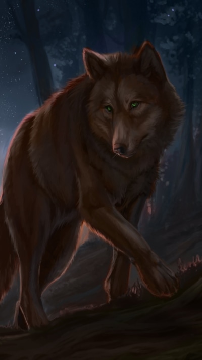 Fantasy Wolf, 720x1280