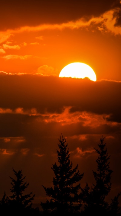 Earth Sunset, Orange (Color), Sun, Sky, Silhouette, 720x1280