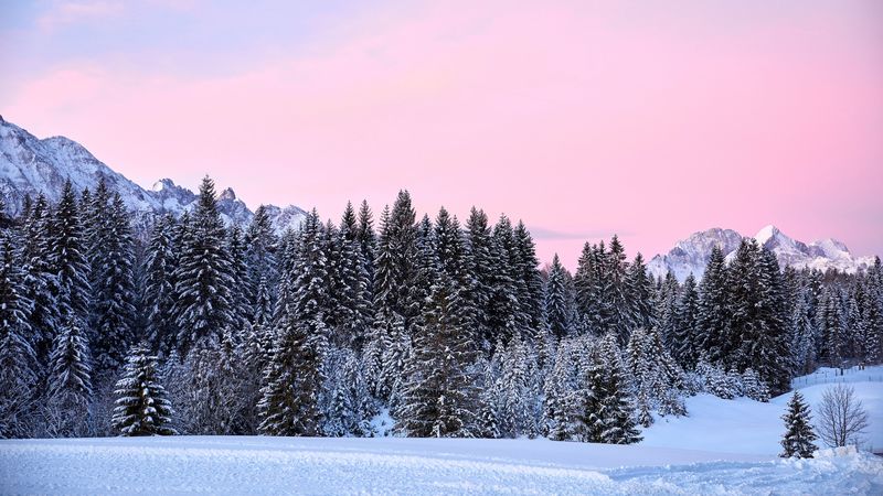 mountains, trees, pink, snow, 4k