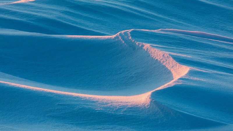 snow, frost, sun rays, 4k