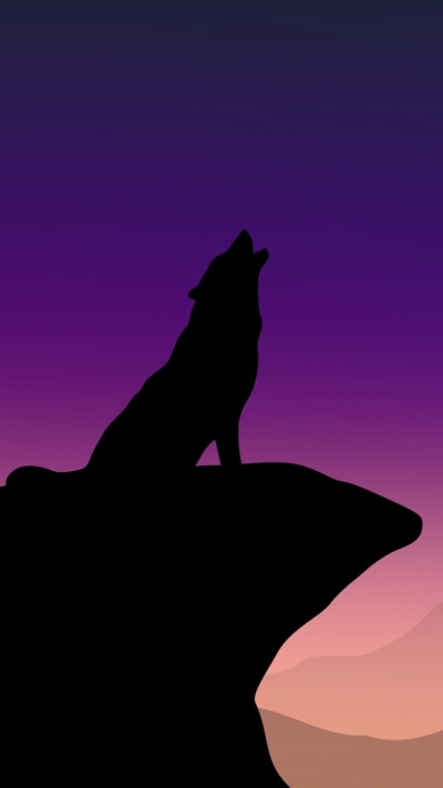 Animal Wolf, Night, Silhouette, 720x1280