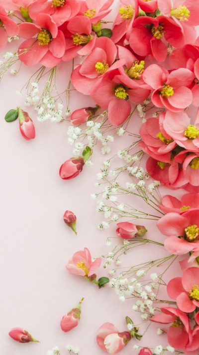 Man Made Flower, Pink Flower, Still Life, 720x1280