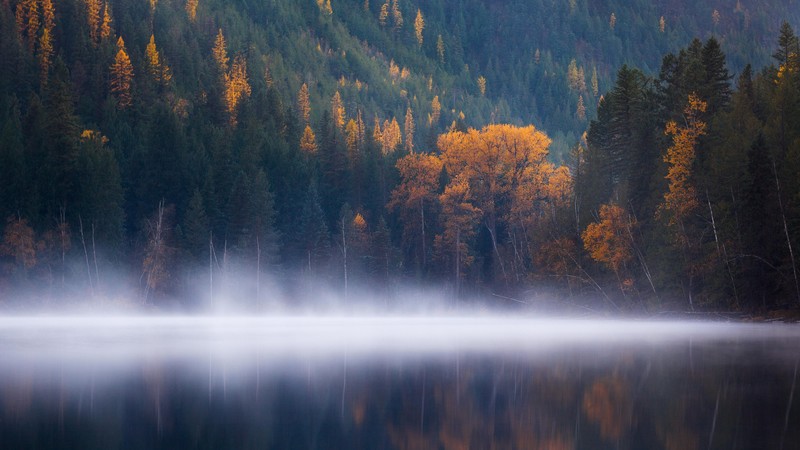 Echo Lake, forest, trees, fog, Columbia, autumn, 4K