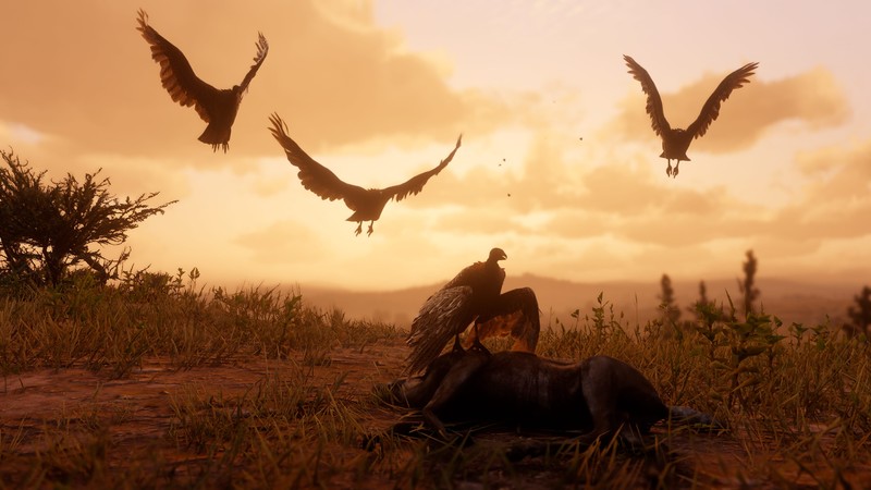 Red Dead Redemption 2, screenshot, 4K