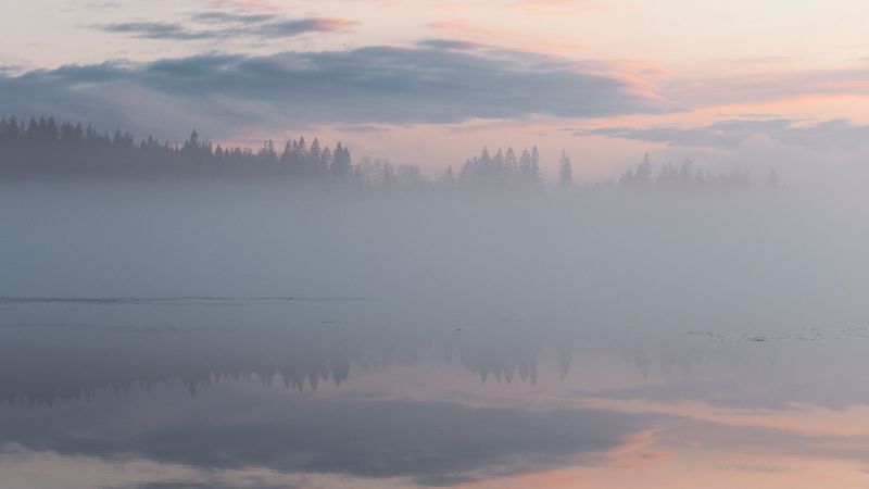 fog, trees, reflection, clouds, 4k