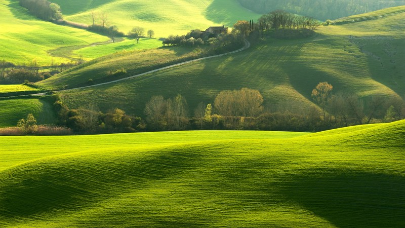 Tuscany, Italy, Europe, hills, green, field, 4K