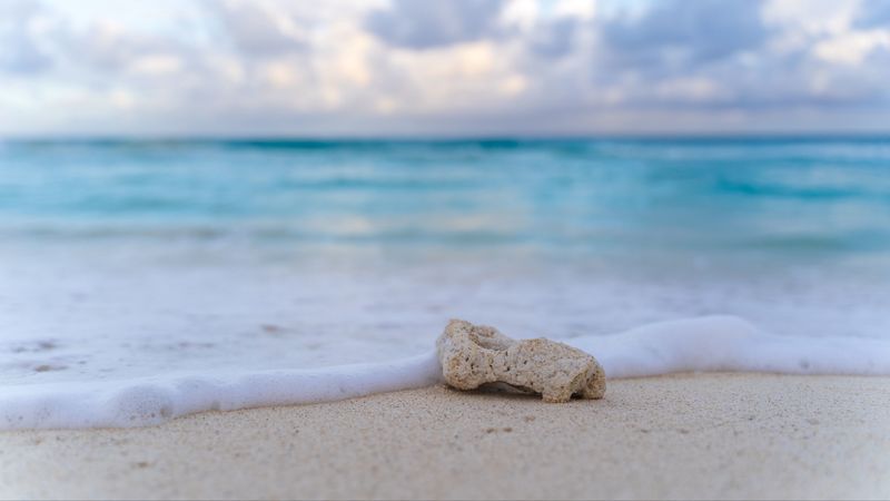 beach, stone, foam, coast, 4k