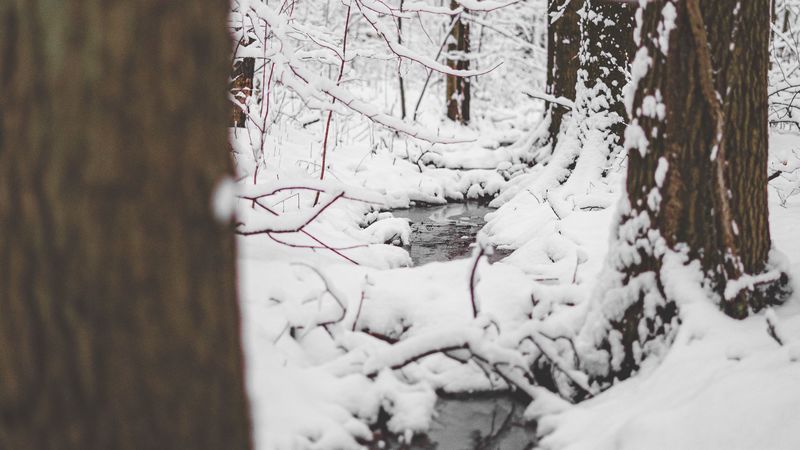 snow, river, thaw, forest, 4k