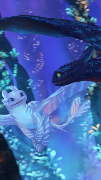 Movie How to Train Your Dragon: The Hidden World, Toothless (How To Train Your Dragon), Dragon, 720x1280