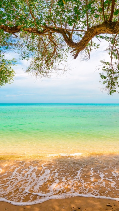 Earth Ocean, Sea, Branch, Beach, 720x1280