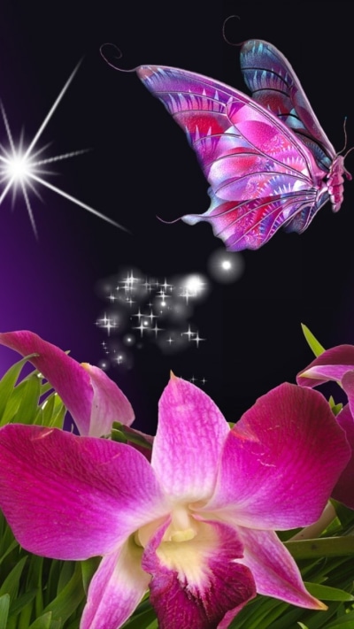 Artistic Flower, Orchid, Butterfly, 720x1280
