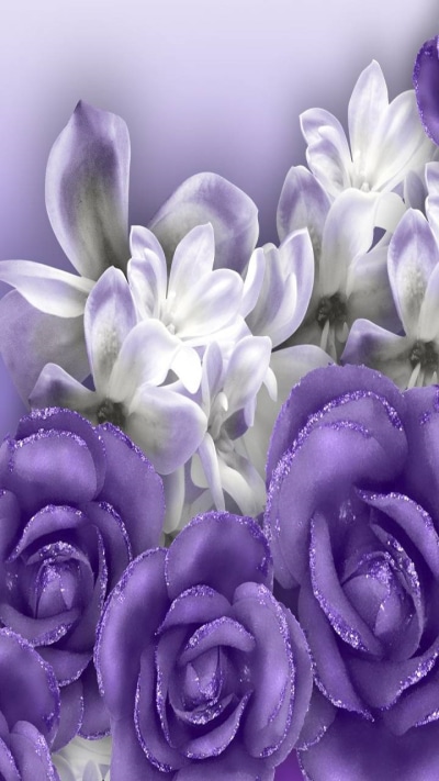 Earth Flower, White Flower, Rose, Purple Flower, 720x1280