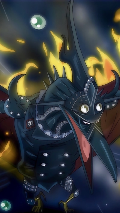 Anime One Piece, King The Wildfire, 720x1280