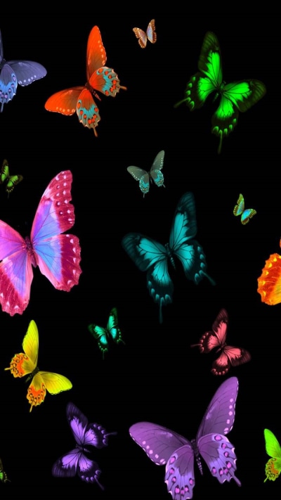 Artistic Butterfly, Colors, 720x1280