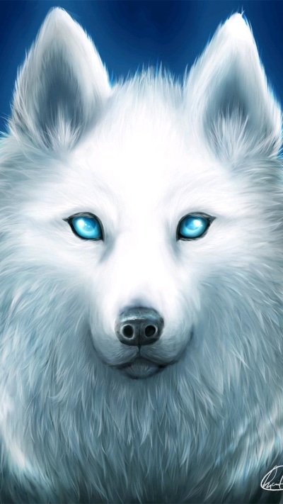 Animal Wolf, White Wolf, 720x1280