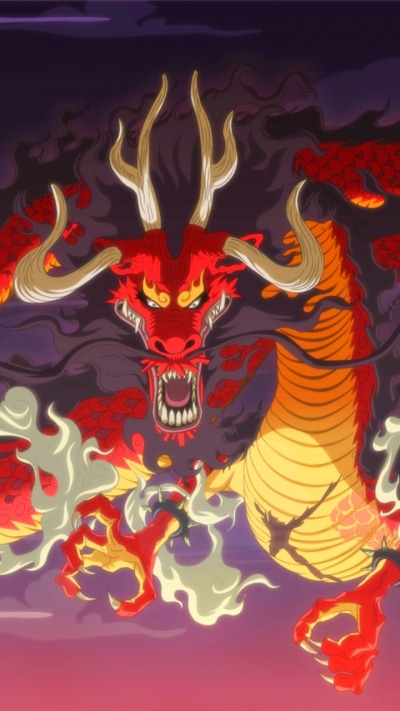 Anime One Piece, Kaido (One Piece), 720x1280