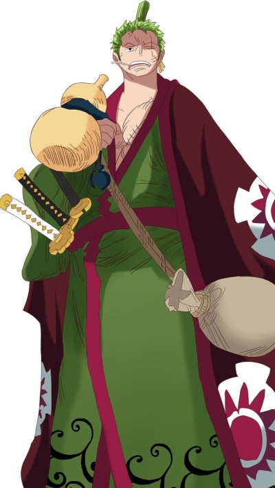 Anime One Piece, Roronoa Zoro, 720x1280