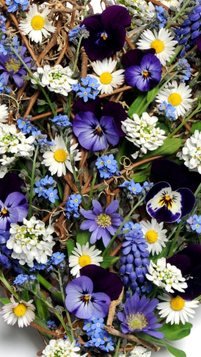 Man Made Flower, White Flower, Purple Flower, Pansy, Heart-shaped, Chamomile, 720x1280