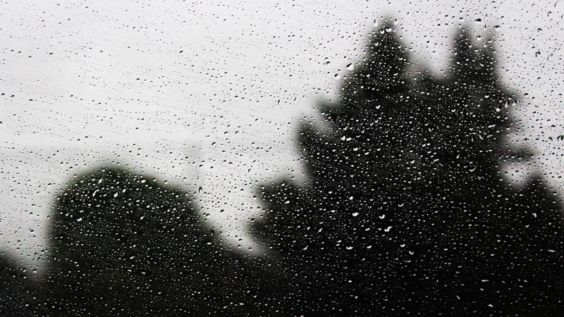 water, glass, nature, drops, photography, hd, 4k, 5k