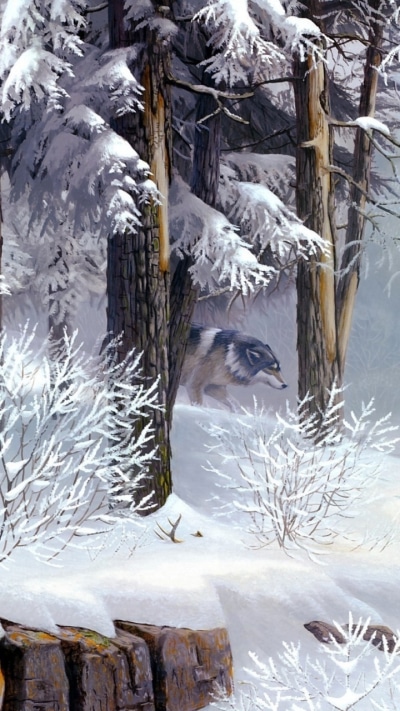 Animal Wolf, Snow, Winter, 720x1280