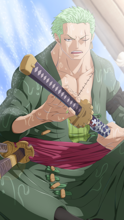 Anime One Piece, Roronoa Zoro, 720x1280