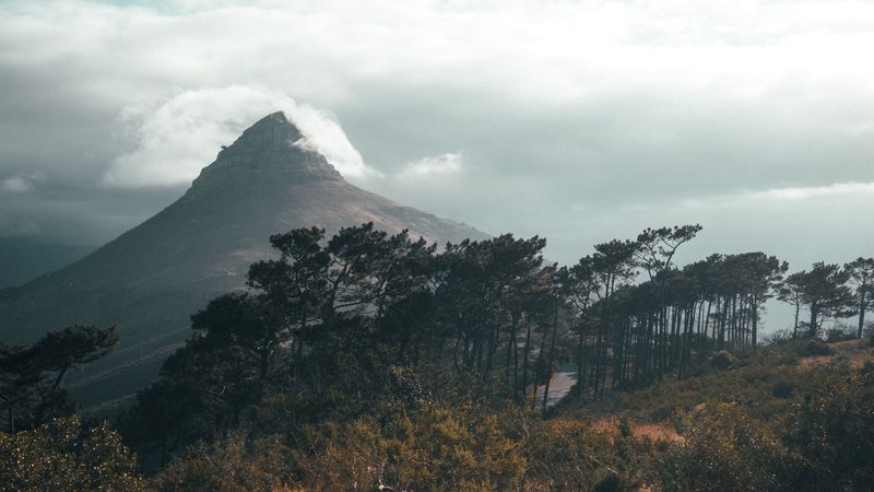 mountain, peak, clouds, trees, nature, 4k