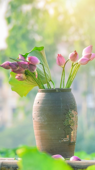 Man Made Flower, Lotus, 720x1280