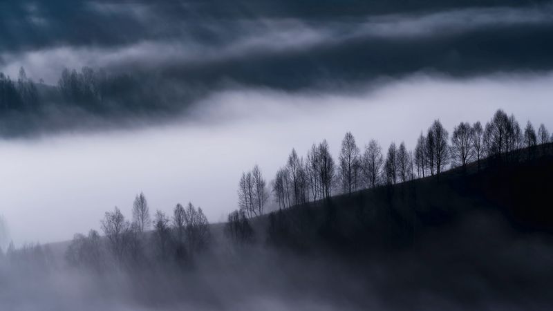 fog, clouds, hills, trees, nature, 4k