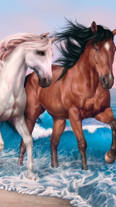 Animal Horse, Wave, 720x1280