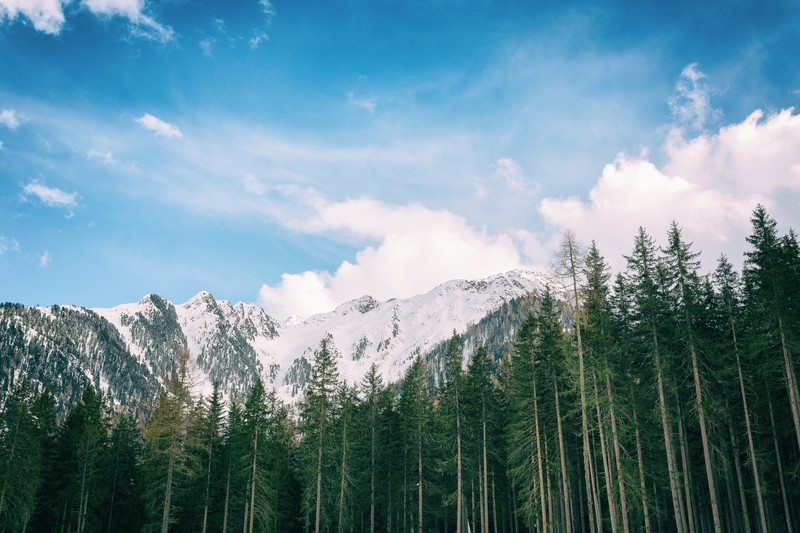 mountains, snow, trees, nature, hd, 4k, 5k
