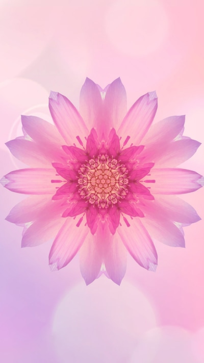 Artistic Flower, 720x1280