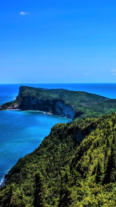 Earth Ocean, Cliff, Canada, Earth, Forillon National Park, Forest, 720x1280