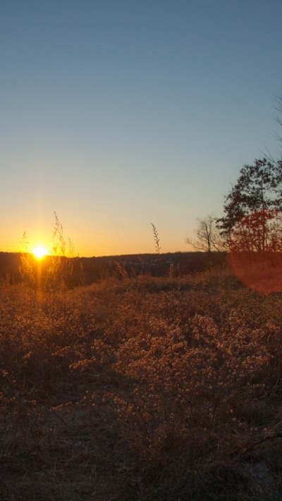 Earth Sunset, Grass, East Coast, Nothern, Fall, New England, 720x1280