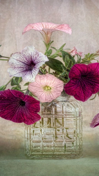 Man Made Flower, Vase, Glass, 720x1280
