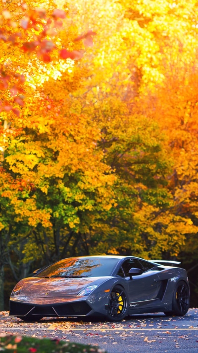 Vehicles Lamborghini Gallardo, Fall, 720x1280